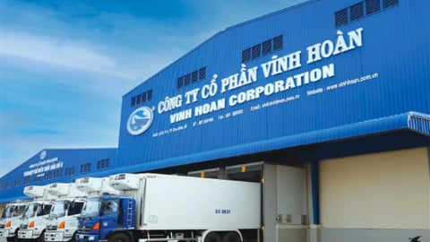 Nửa đầu năm, lãi ròng Vĩnh Hoàn đạt 734 tỷ đồng, tăng gần 40% 