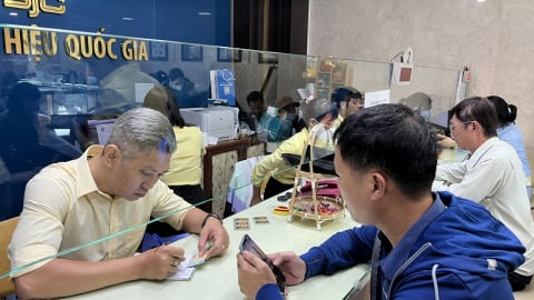 Giá vàng lập đỉnh, doanh nghiệp vàng miếng lớn nhất nước báo lãi kỷ lục