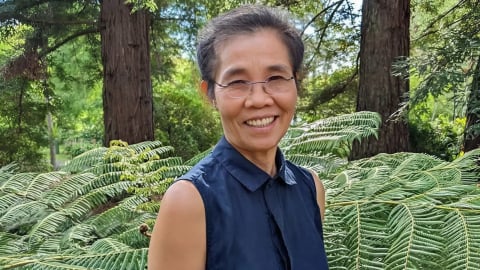 Những 'người không tuổi'