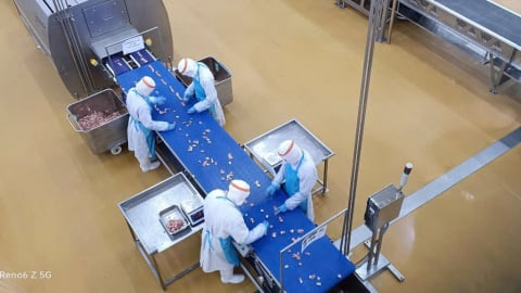 Doanh thu quý II/2025 của C.P. Việt Nam giảm mạnh