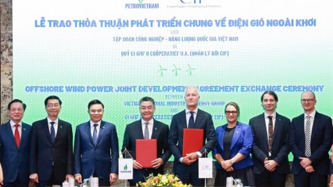 Petrovietnam bắt tay CIP phát triển điện gió ngoài khơi