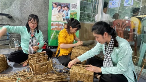 Khi cỏ, lá hóa 'vàng xanh' vươn ra thị trường thế giới