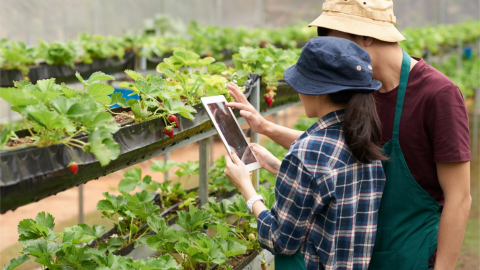 Chuyển đổi xanh cho nông nghiệp bắt đầu từ tư duy