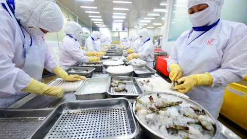 Xuất khẩu thủy sản bứt phá mạnh mẽ