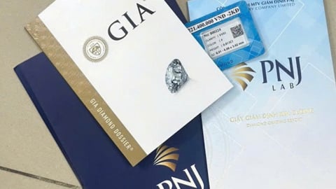 Cựu CEO P-Lab bị khởi tố và những góc khuất phía sau quyền lực giám định kim cương