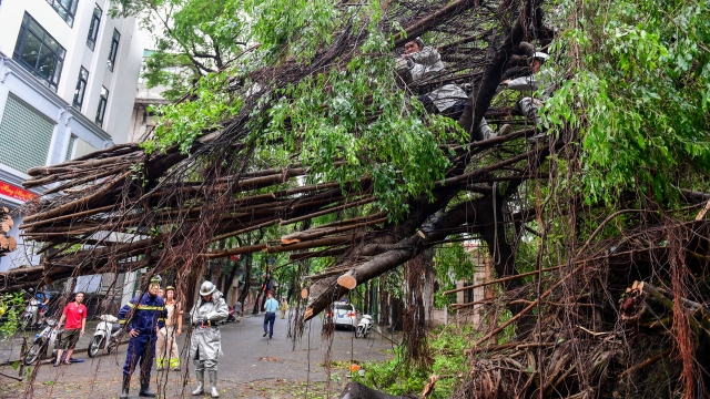 Siêu bão Yagi gây thiệt hại nặng nề tại miền Bắc