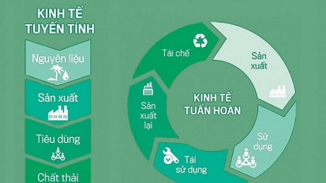 Hiểu đúng về kinh tế tuần hoàn