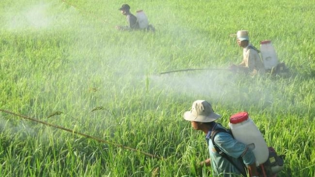 Giải pháp nào cho hàng trăm nghìn tấn rác thải nhựa từ nông nghiệp?