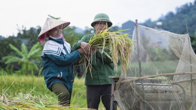 Ngành nông nghiệp lên kế hoạch cải cách