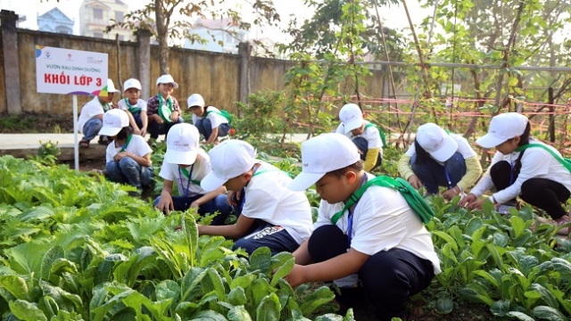 Nestlé hỗ trợ học sinh tiểu học ở Hưng Yên về dinh dưỡng học đường