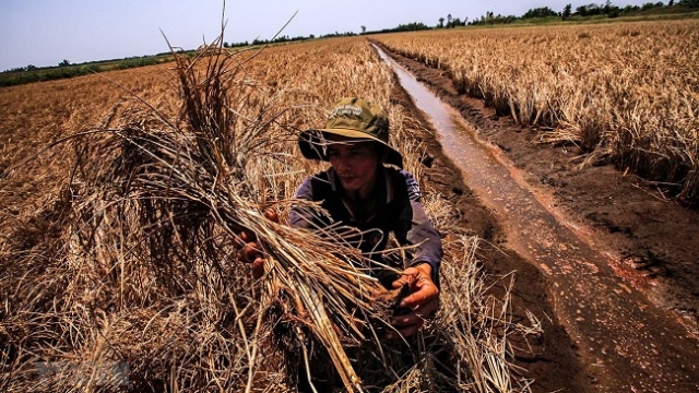 Những mảnh đời vất vưởng sau hàng trăm con đập dọc dòng Mê-Kông