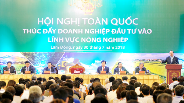 Cần thêm nhiều 'sếu lớn, đại bàng lớn' về nông thôn làm tổ