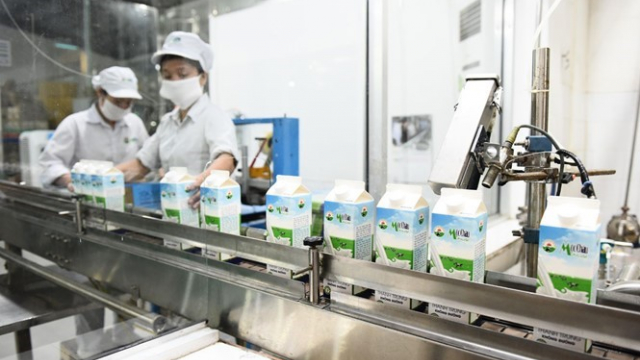 Mộc Châu Milk: Tận dụng ưu thế từ chuỗi sản xuất khép kín để tăng trưởng