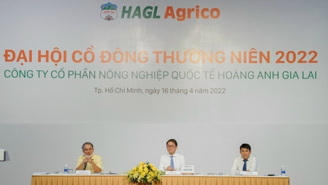 HAGL Agrico dự kiến lỗ hơn 2.700 tỷ đồng