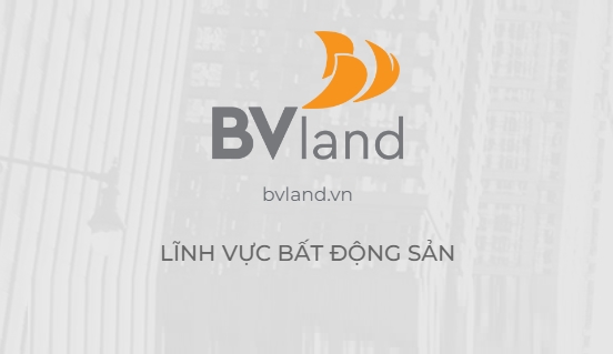 BV Land thế chấp 12 lô đất vay 100 tỷ đồng Vietcombank