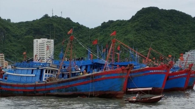 Phó Chủ tịch Vasep: Việt Nam có thể bị EU “giơ thẻ vàng”