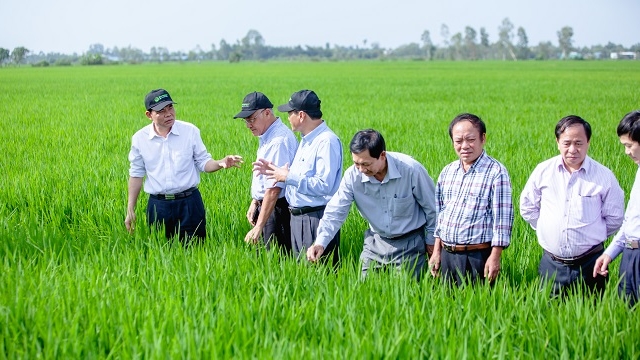 Võ Minh Khải - Lão nông tạo ra 'cách mạng xanh' cho cây lúa