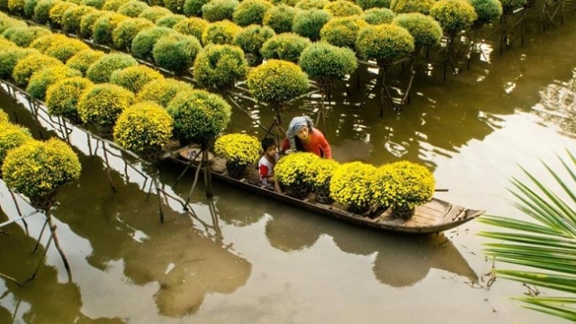 'Không cứng nhắc duy trì xuất khẩu gạo ĐBSCL với số lượng lớn'