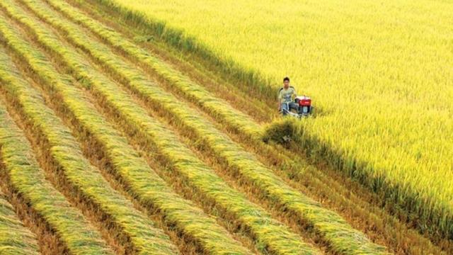 Bộ trưởng Giao thông giải đáp 'điểm nghẽn' trong phát triển của ĐBSCL