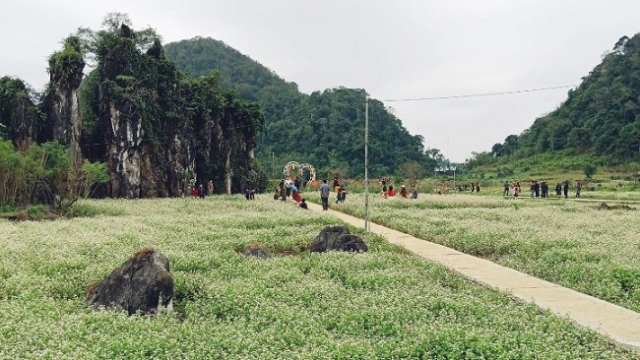 Hà Giang chung tay hỗ trợ các doanh nghiệp lữ hành