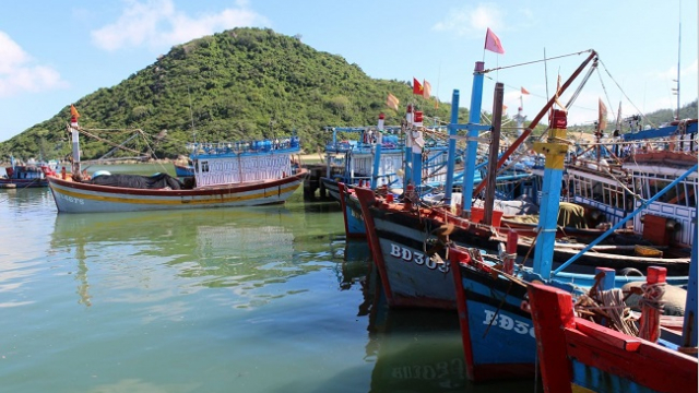 Bình Định đề nghị loại 2 cảng biển khỏi quy hoạch quốc gia