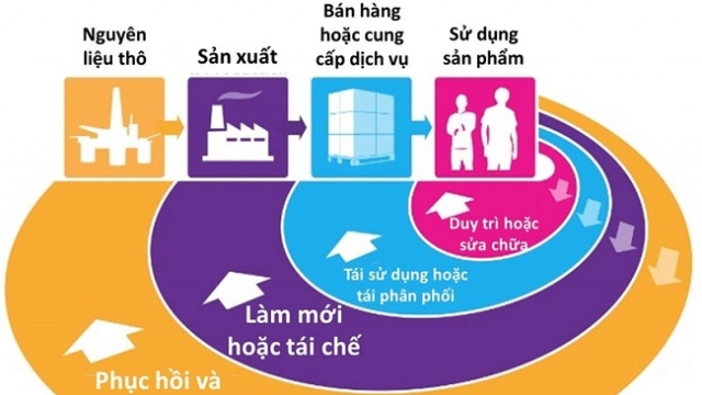 Ứng dụng kinh tế tuần hoàn trong một số lĩnh vực