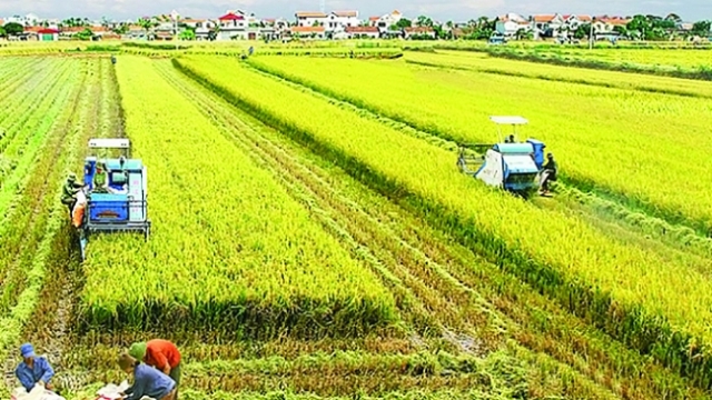 Đưa nông thôn trở thành ‘nơi đáng sống’