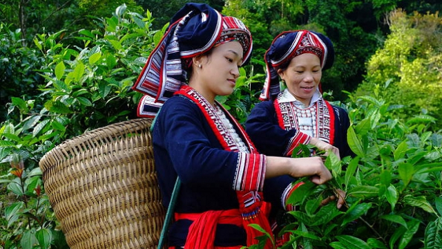 Nâng cao sinh kế cho hơn 2.600 đồng bào dân tộc thiểu số