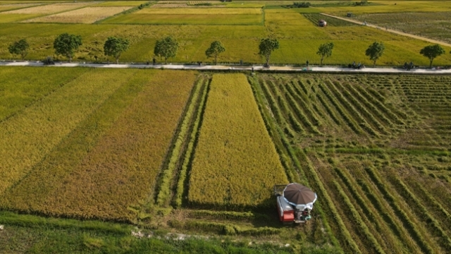 Cách Nestlé, Lộc Trời, TTC AgriS làm nông nghiệp bền vững