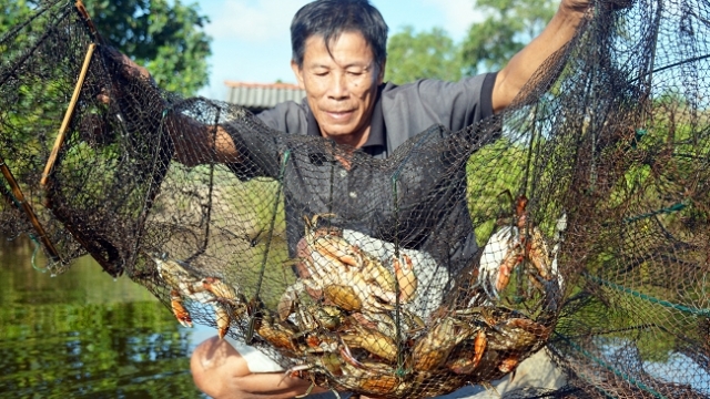 Chìa khóa đưa thủy sản Việt lên bàn ăn thế giới