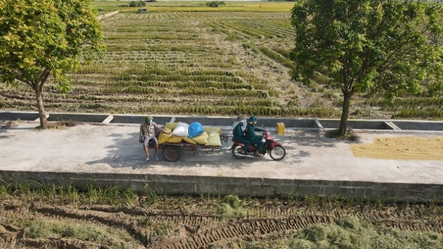 Doanh nghiệp, nông dân ‘đẩy khó cho nhau’