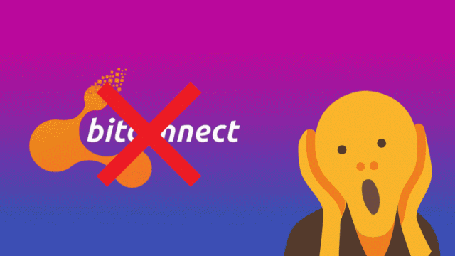 BitConnect bị đình chỉ hoạt động