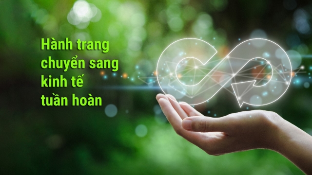 [Longform] Hành trang chuyển sang kinh tế tuần hoàn