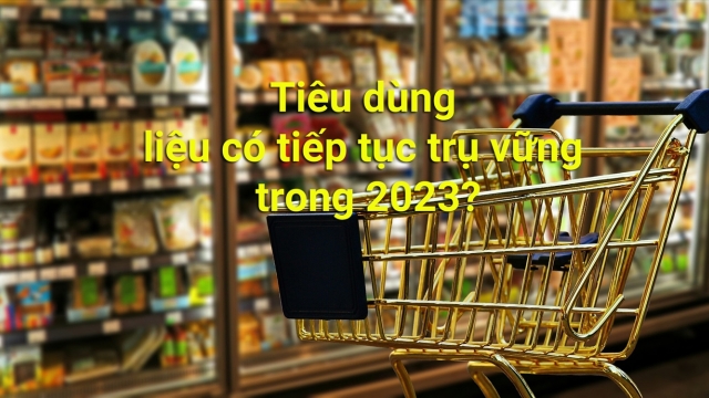 Tiêu dùng liệu có tiếp tục trụ vững trong 2023?