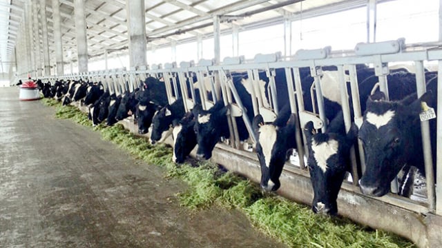 Vinamilk ra mắt các sản phẩm sữa A2 đầu tiên tại Việt Nam