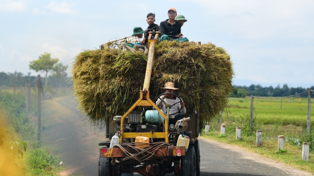 Nông dân Việt hưởng ứng mục tiêu phát thải ròng bằng 0