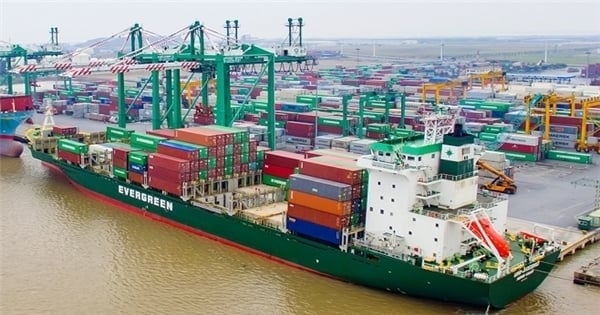 Lợi nhuận Viconship 'bốc hơi' trăm tỷ vì 'nhập sai số liệu'