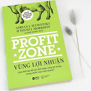Tái thiết vùng lợi nhuận trong chiến lược kinh doanh