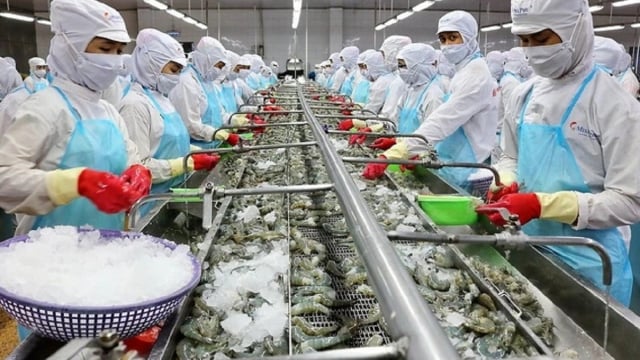 'Nhịn đau' tái cơ cấu hàng tồn kho, Minh Phú bắt đầu hái quả ngọt