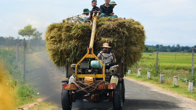 Nông dân Việt hưởng ứng mục tiêu phát thải ròng bằng 0