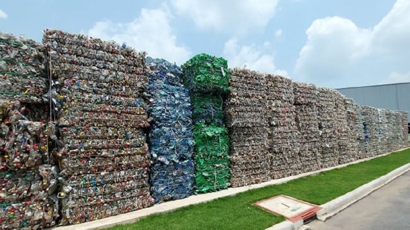 Kiến tạo những giá trị mới cho doanh nghiệp Việt từ chuyển đổi xanh