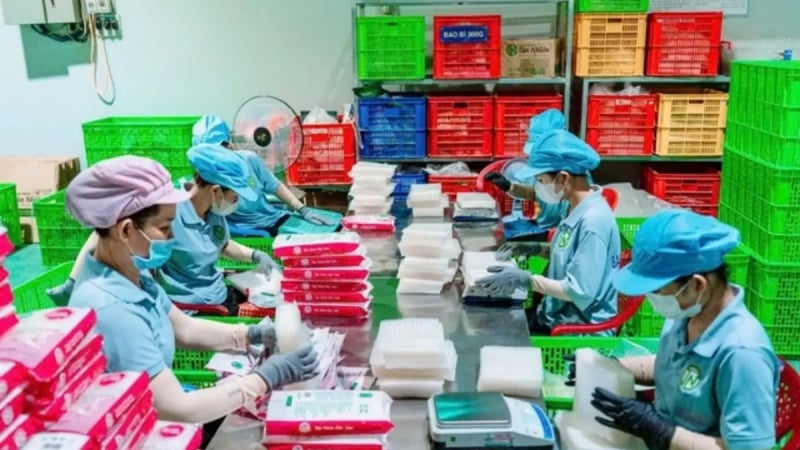 Doanh thu tăng nhưng startup vỡ trận vì bẫy tăng trưởng