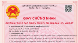 5 thông tin người dân tra cứu được qua mã QR trên 'sổ đỏ' mẫu mới