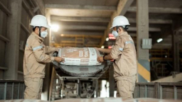Lợi nhuận năm 2024 Vicem Hà Tiên giảm 7% sau kiểm toán