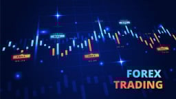 NHNN đang nghiên cứu tiền kỹ thuật số, khẳng định không cấp phép sàn Forex