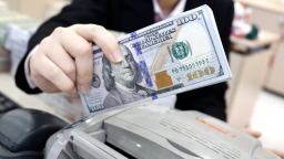 Tỷ giá USD ngày 5/5 tạm dừng ở mốc 26.203 đồng/USD
