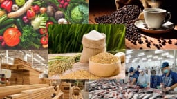 Xuất siêu nông, lâm, thủy sản đạt hơn 5 tỷ USD