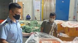 Phát hiện kho đông lạnh chứa hơn 7 tấn nội tạng: trứng non, nầm lợn... không rõ nguồn gốc