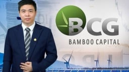 Bamboo Capital lần thứ hai thay Tổng giám đốc