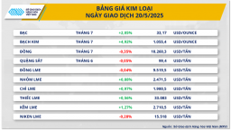 Thị trường kim loại diễn biến phân hóa
